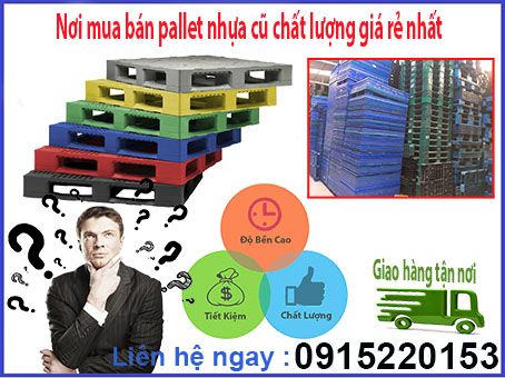 Nơi mua pallet nhựa uy tín