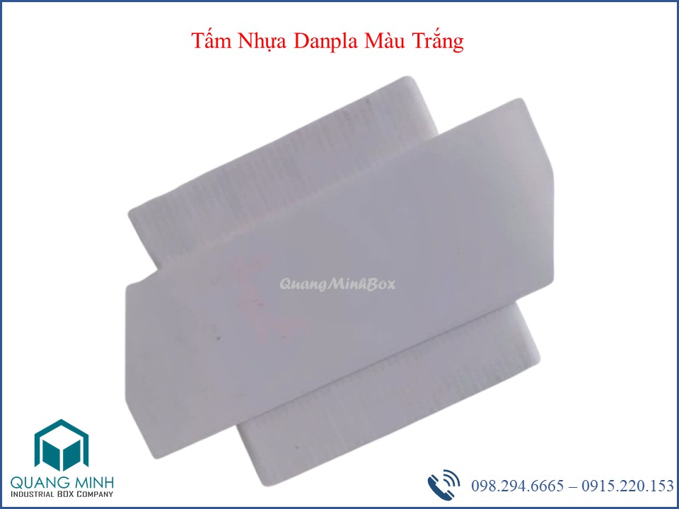 tam-nhua-danpla-mau-trang-o-bac-ninh