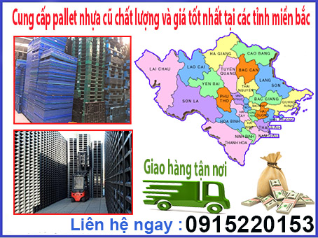 cung-cap-pallet-nhua-cu-chat-luong-va-gia-tot-nhat-tai-cac-tinh-mien-bac