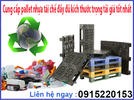 cung-cap-pallet-nhua-tai-che-day-du-kich-thuoc-trong-tai-gia-tot-nhat