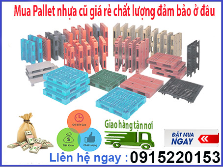 mua-pallet-nhua-cu-gia-re-chat-luong-dam-bao-o-dau