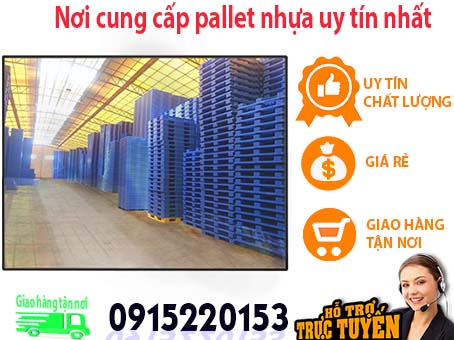 noi-cung-cap-pallet-nhua-uy-tin-nhat