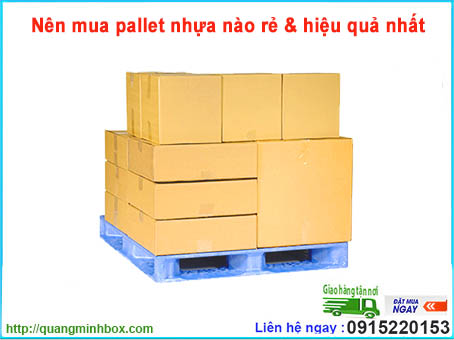 nen-mua-pallet-nhua-nao-re-ma-hieu-qua-nhat