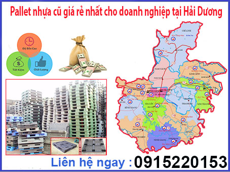 pallet-nhua-cu-gia-re-nhat-cho-doanh-nghiep-tai-hai-duong