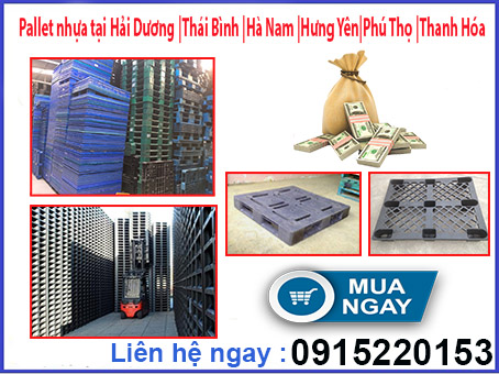 pallet-nhua-tai-hai-duong---thai-binh---ha-nam---hung-yen---phu-tho---thanh-hoa