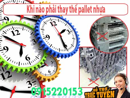 khi-nao-phai-thay-the-pallet-nhua