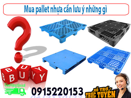 mua-pallet-nhua-can-luu-y-nhung-gi