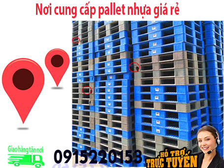 noi-cung-cap-pallet-nhua-gia-re