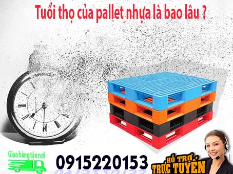 tuoi-tho-cua-pallet-nhua-la-bao-lau